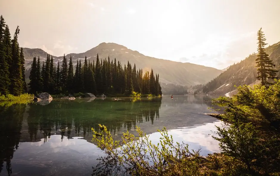 Still alpine lake surrounded by forest and mountains