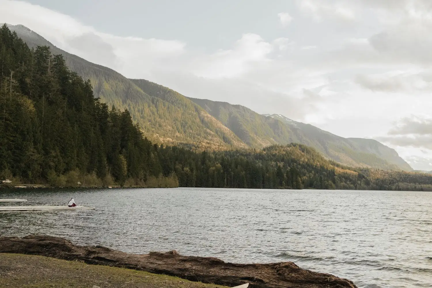 Mountain lake with forested shoreline