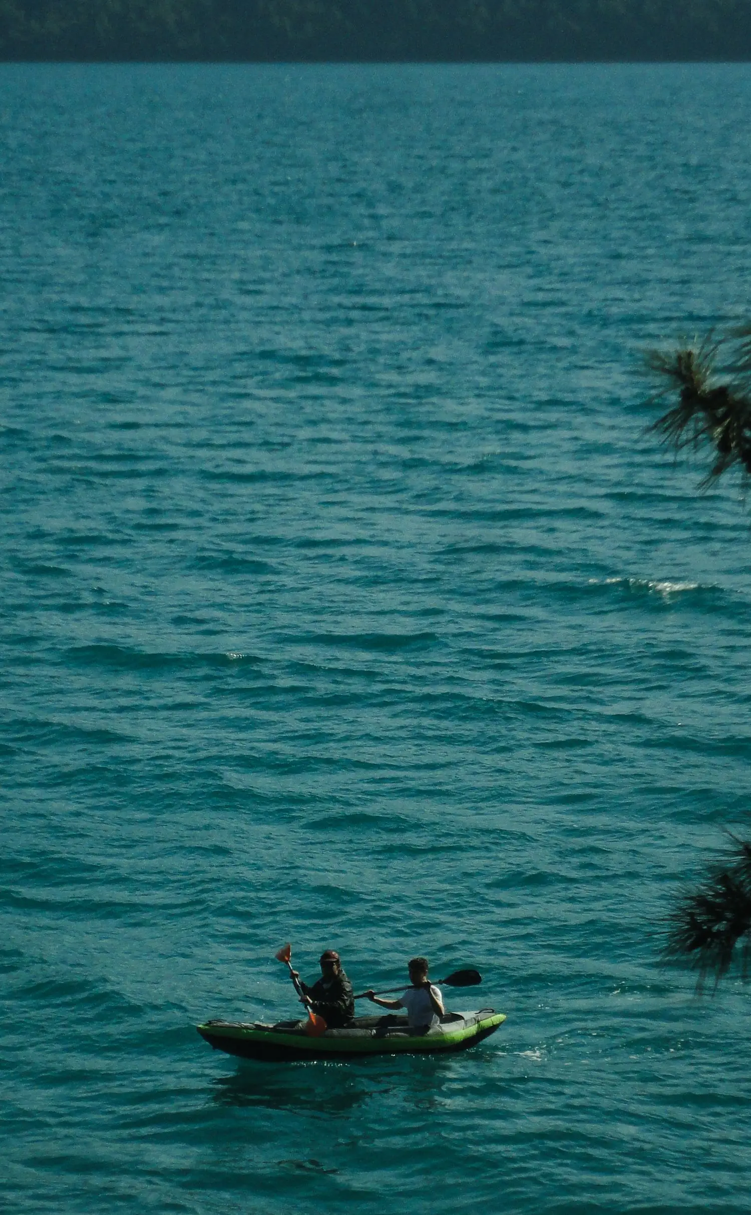 Two paddlers on open blue water